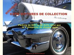 Affiche Rassemblement de voitures de collection