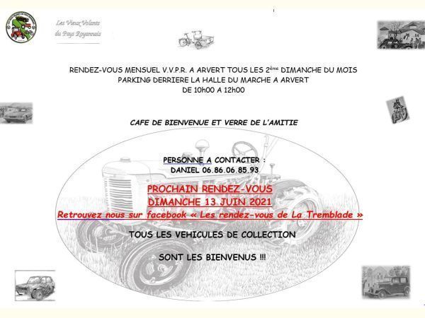 Affiche RDV des Vieux Volants du Pays Royannais